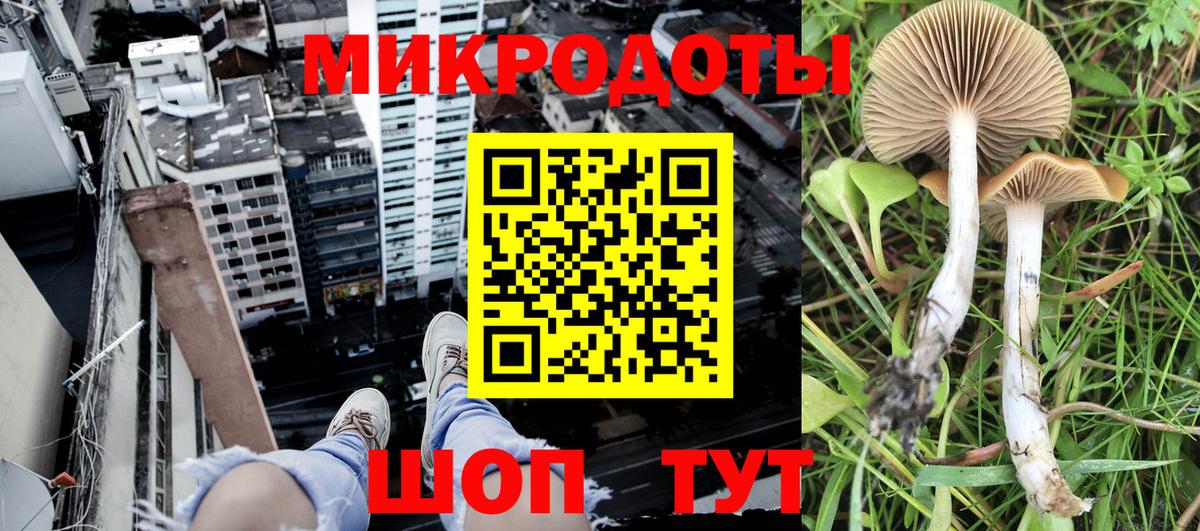 Якутск  Галлюциногенные грибы прущие грибы  Вход с VPN 