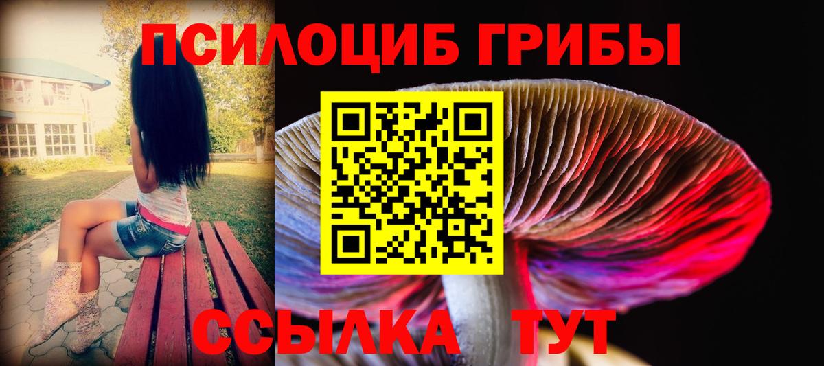 Галлюциногенные грибы Cubensis Якутск